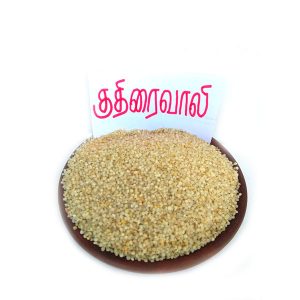 kuthirai-vali-rice