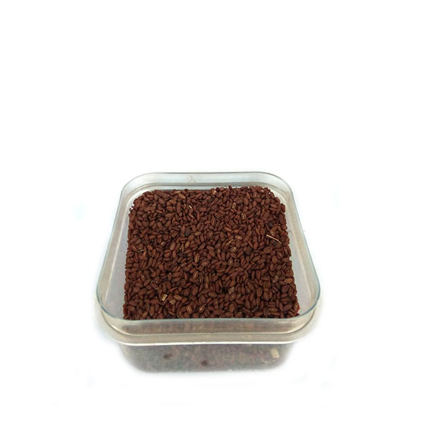 nathai-seed